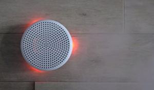 Point preview on CNET.com